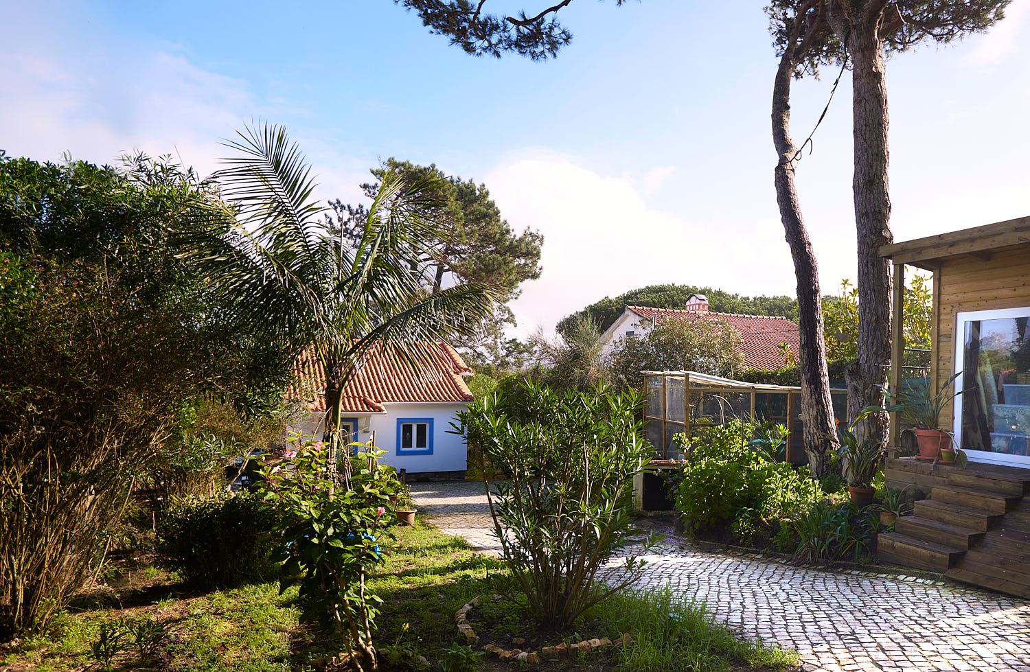 retreatoasisportugal_IMG_5746 1 Surf Retreat & Yoga Retreat, June, September, in Portugal